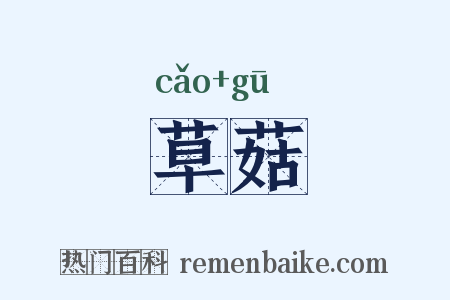 草菇是什么意思的图片